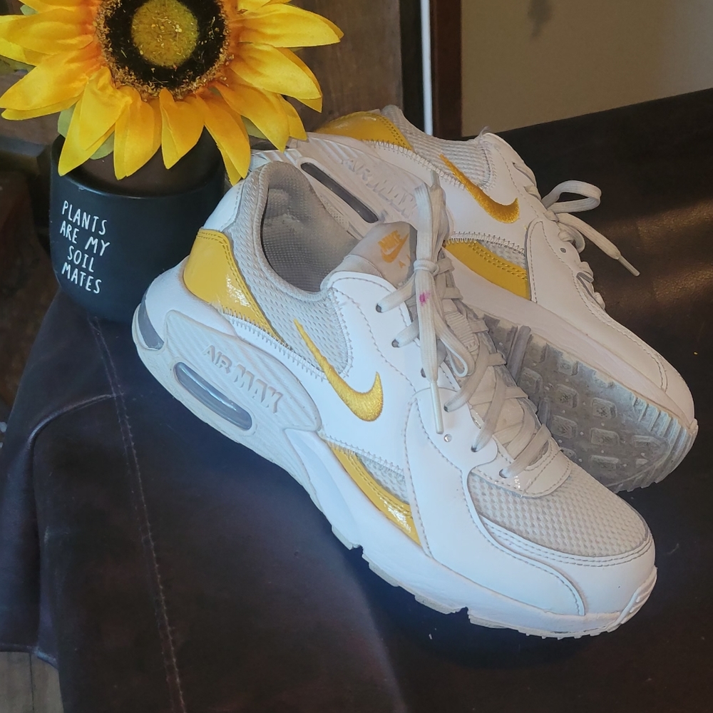 Nike Air Max
